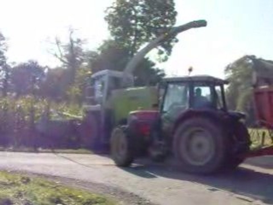 Ensilage 2008 : Claas 890 green eyes