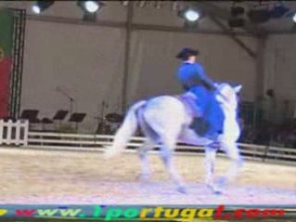 Maisons Laffitte ( 78 ) Festival Equestre 10-10-2008 - N.5