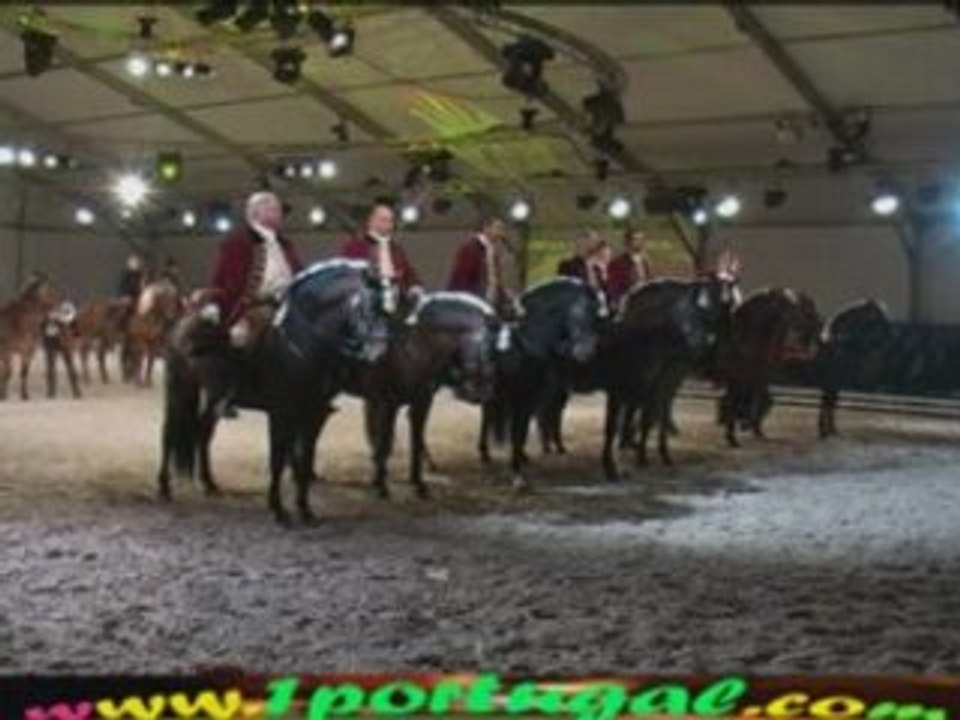 Maisons Laffitte ( 78 ) Festival Equestre 10-10-2008 N.13