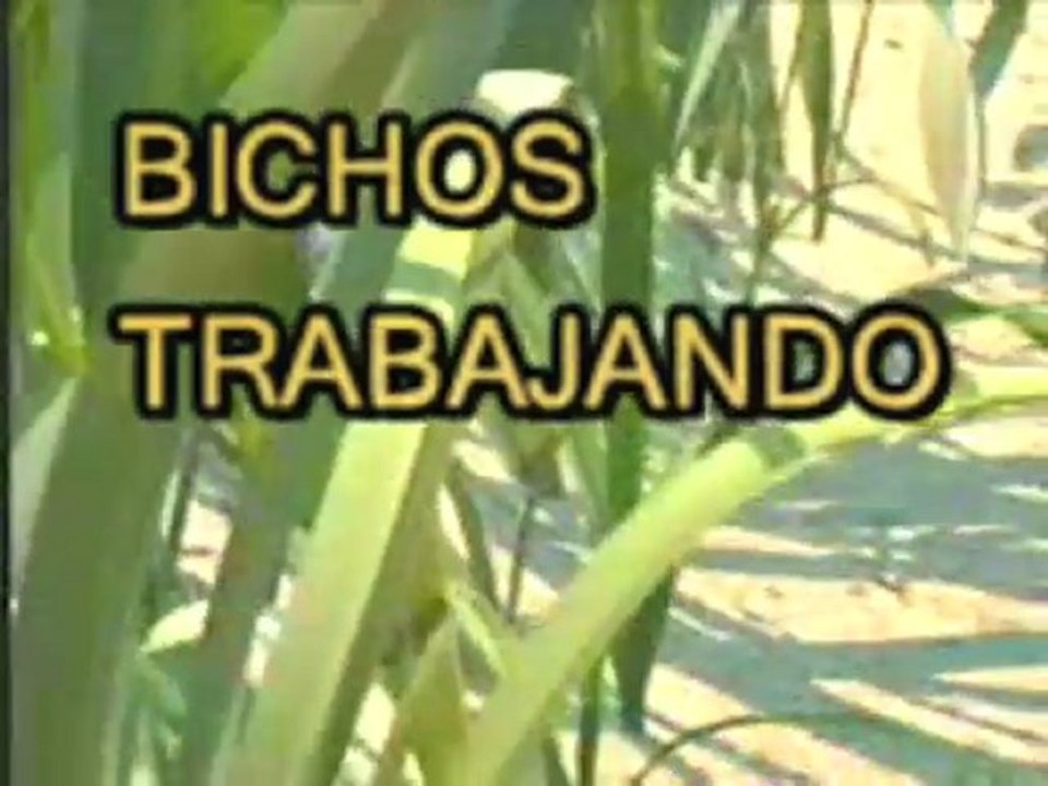 Resistencia_Cambio_Pesimismo
