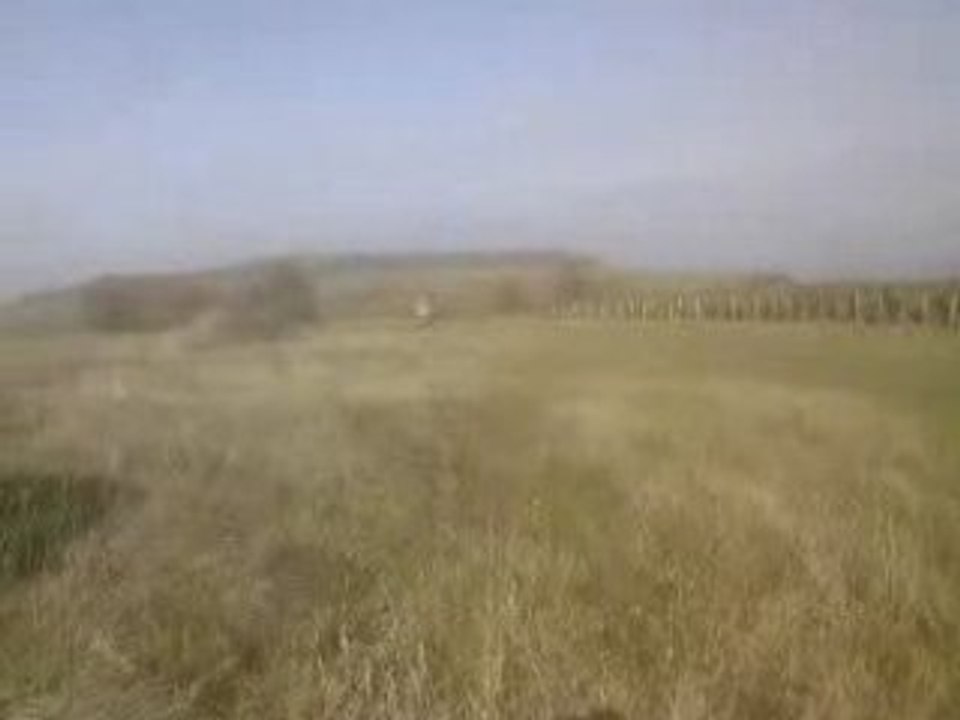 SV_A0239