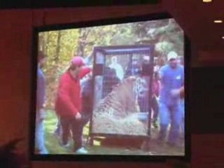 FUR BALL 2008 - Big Cat TV