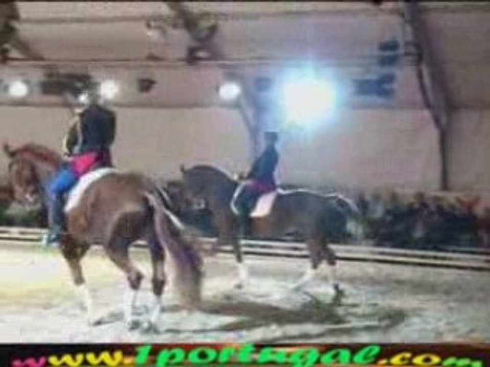 Maisons Laffitte ( 78 ) Festival Equestre 10-10-2008 N.12