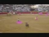 Corrida de Toros 