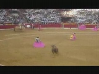 Corrida de Toros "La Misericordia" (Zaragoza 2008)