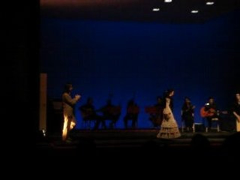 Flamencodancecouple