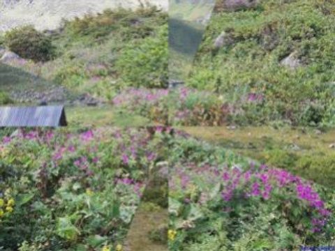 AMLAKİT YAYLASI- EZANLAR BİZİM İÇİN-ERKANOCAKLI-KAVRUN.TR.GG