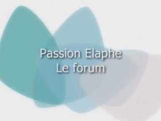 Trombi de Passion Elaphe
