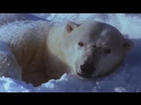 NOTRE MERE LA TERRE (PARTIE 12) STEFGAMERS