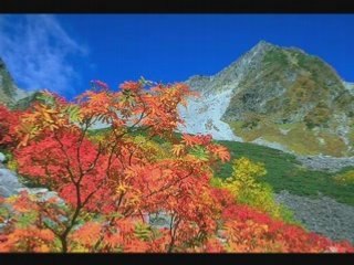 FETHULLAH GÜLEN-SIZINTI BASYAZISI-NERDESIN