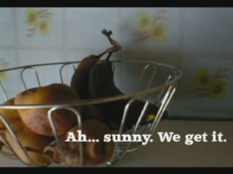 "Sunny Day"