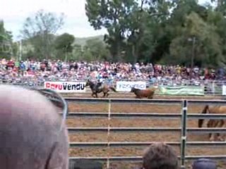 Bulldoging: The Rodeo Event 🐂