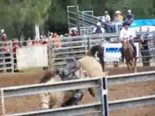 rodéo foire de Bourail