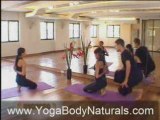 Yoga Students: Flexibility Basics Videos