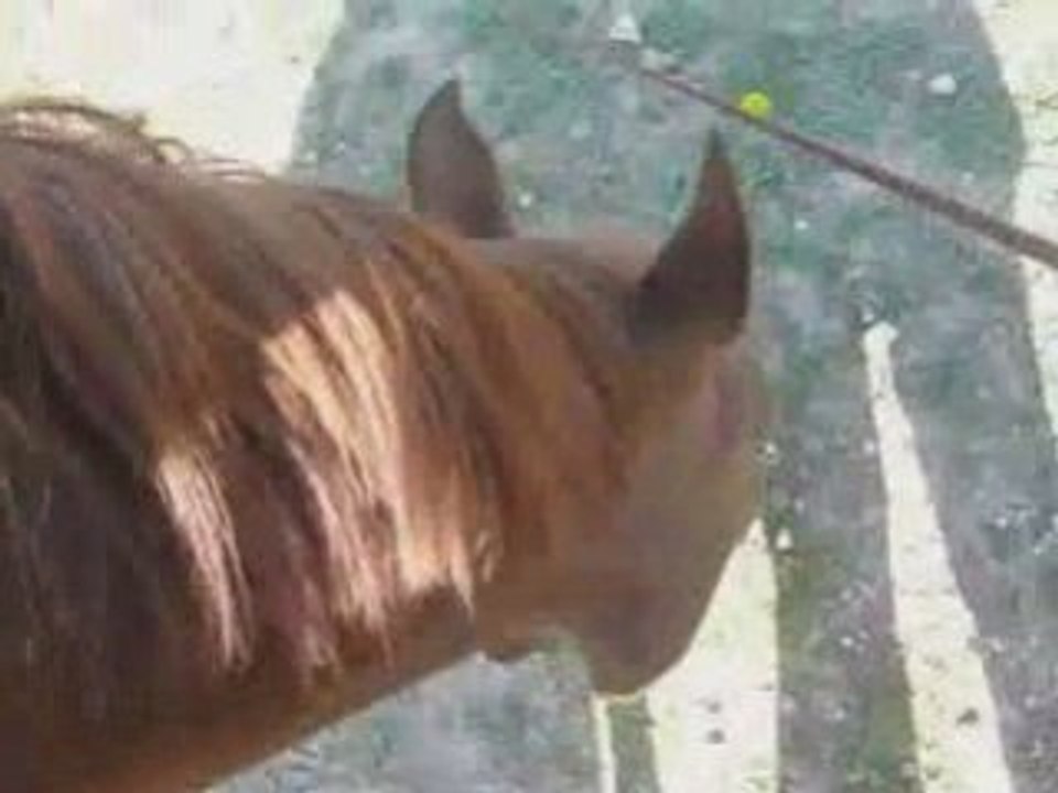 Caresse ( Toi + Moi - Gregoire )