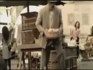 Bridgestone und der Hund