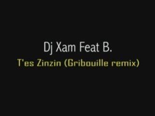 VERSION RARE "Dj xam feat B - T'es zinzin(Gribouille remix)"