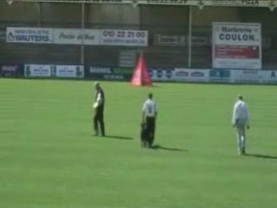 FCI2008-Wöginger