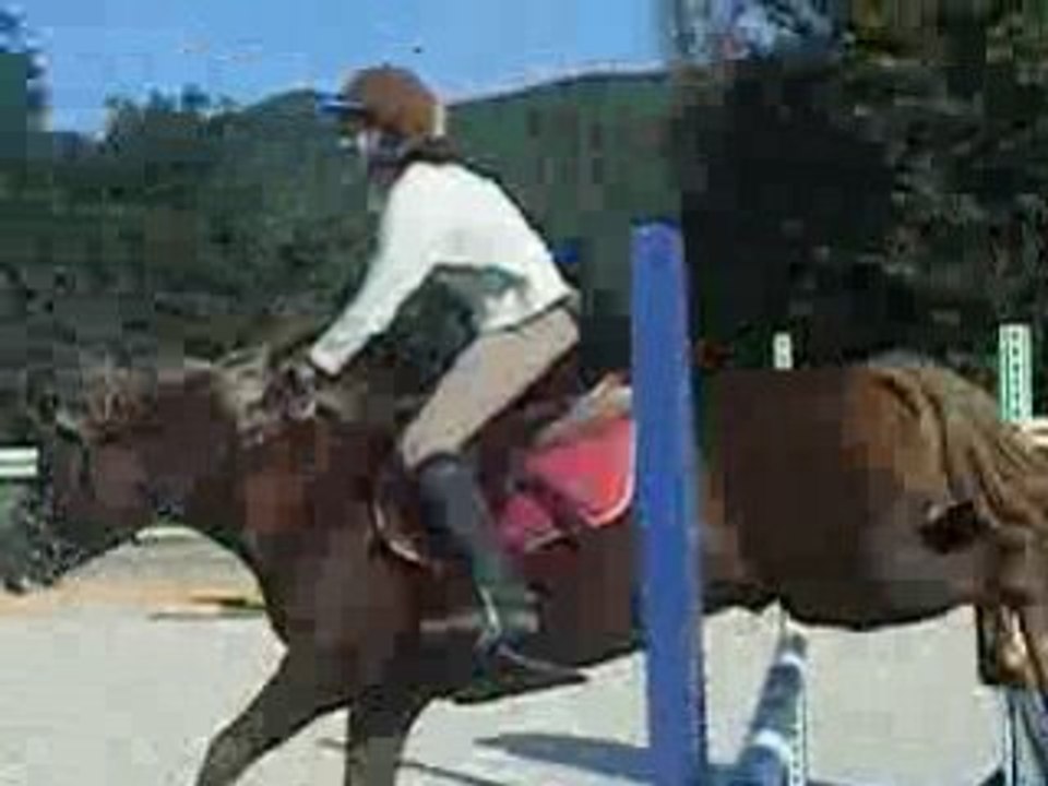 Equito & Moi Obstacle
