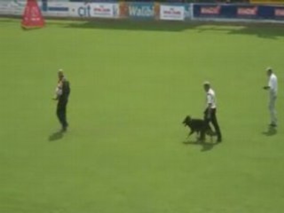FCI2008-Neuner