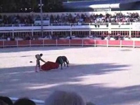 Finale graine de torero2008: St Gilles