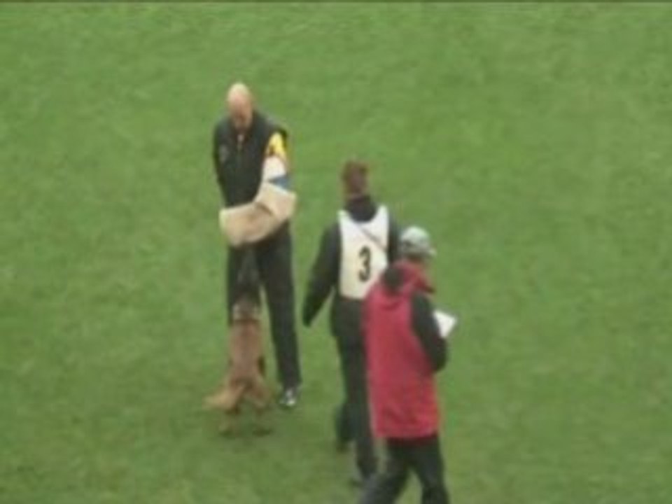FCI2008-Stahl
