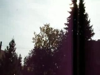 Migration des oiseaux 🕊️