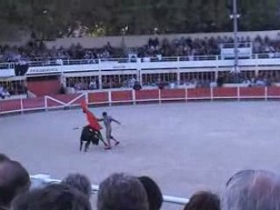 Finale graine de torero 2008 à St Gilles