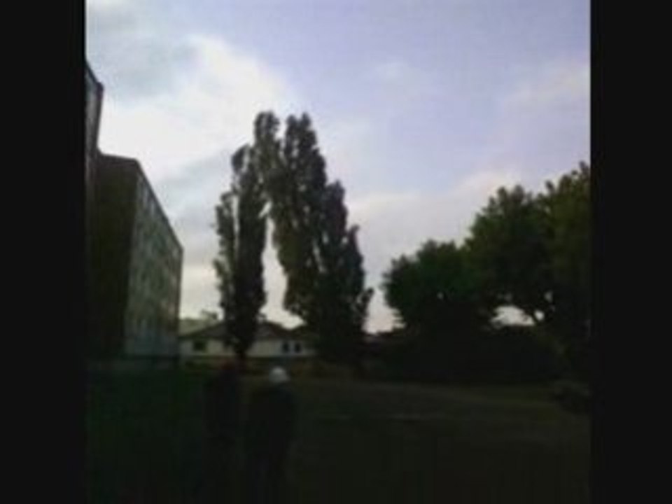 Arbre2