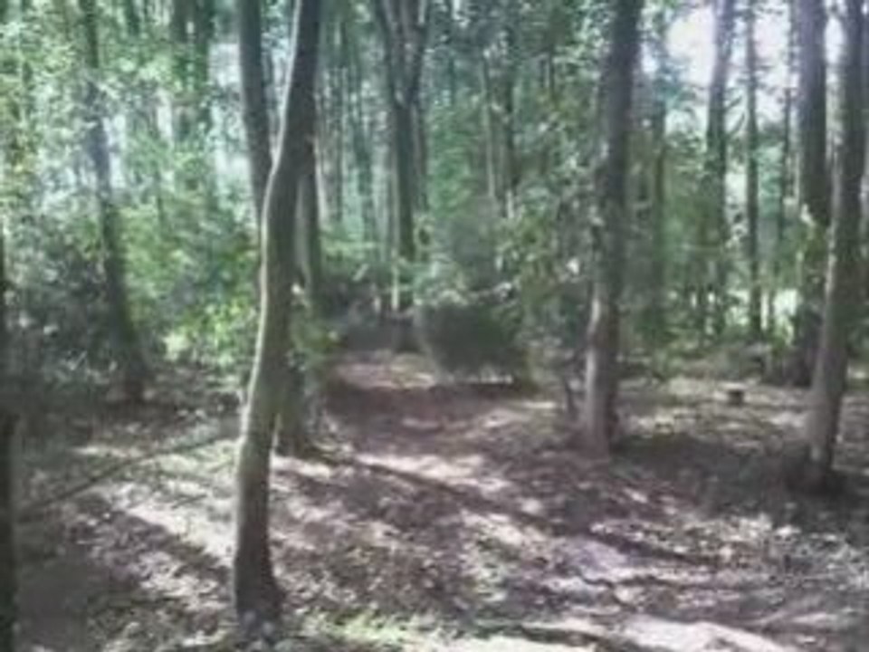 Motocross 250 KX Pierrot