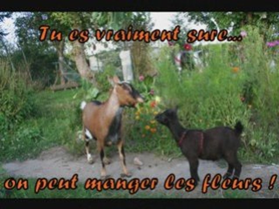 Arrivée de la petite Loïs