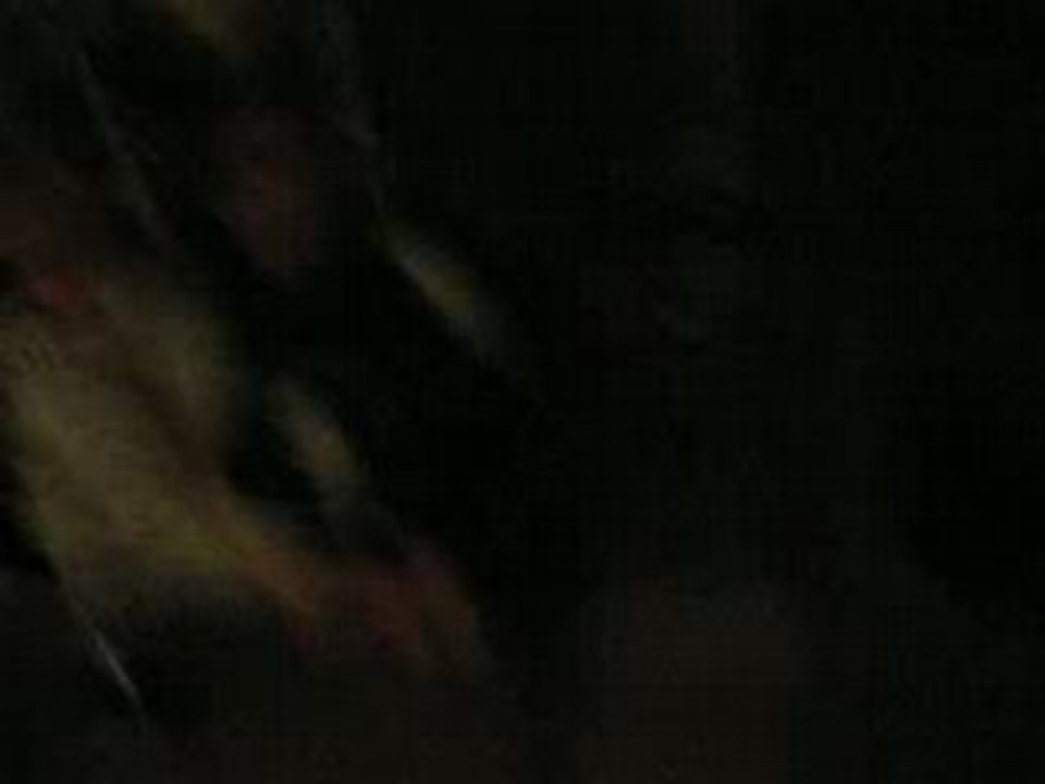Deliire nOctuRne