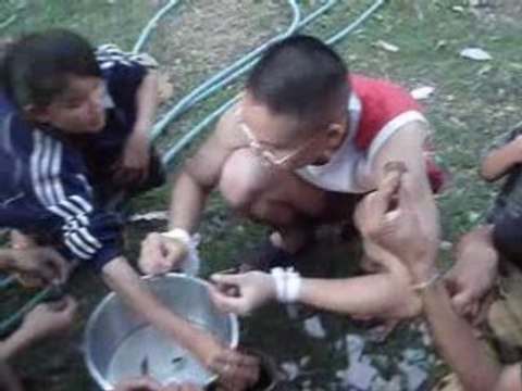 Décortication de sauterelles à l'ancienne