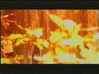 Десислава   -  Мила Моя, Мили Мой