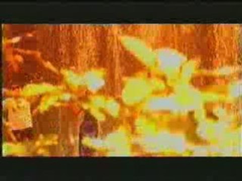 Десислава - Мила Моя, Мили Мой