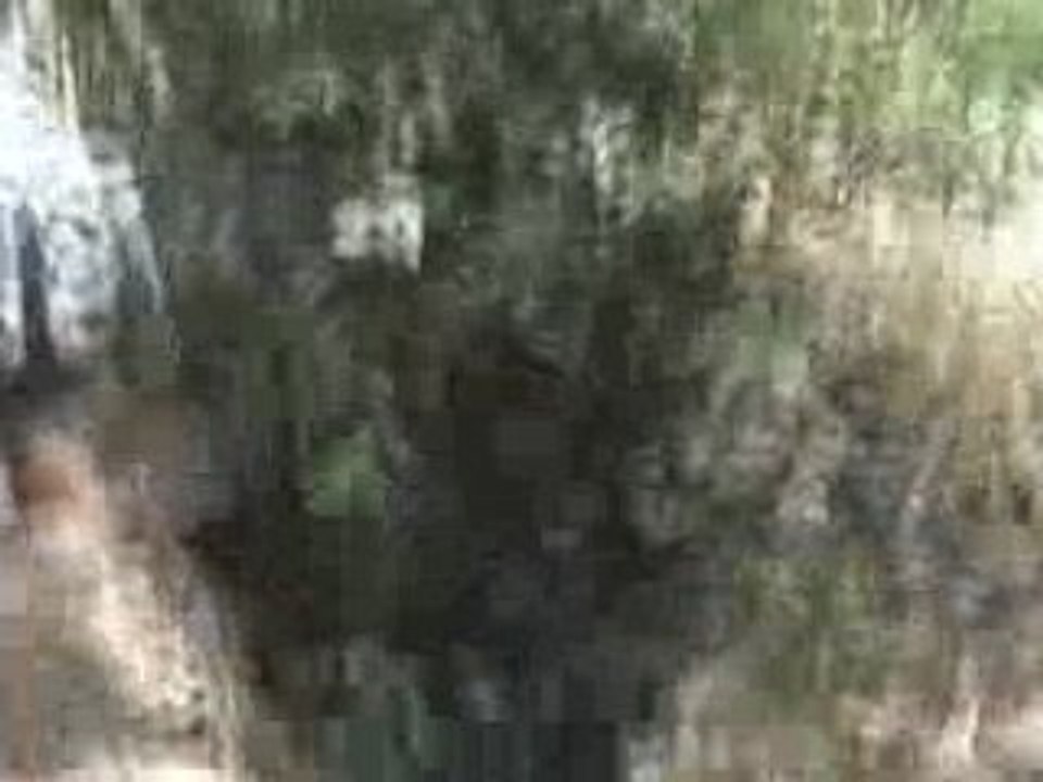 la primera catarata de cullpa
