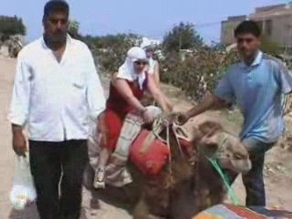 Hammamet en chameaux