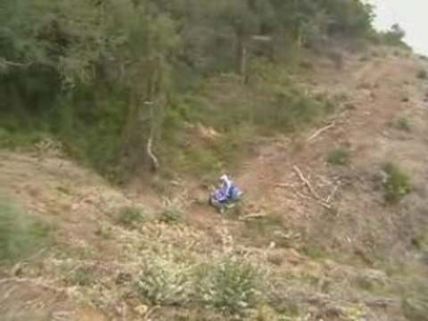 Quad 350 raptor 66 2