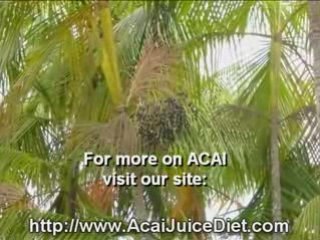 acai juice berry purely juice acai plan for teens