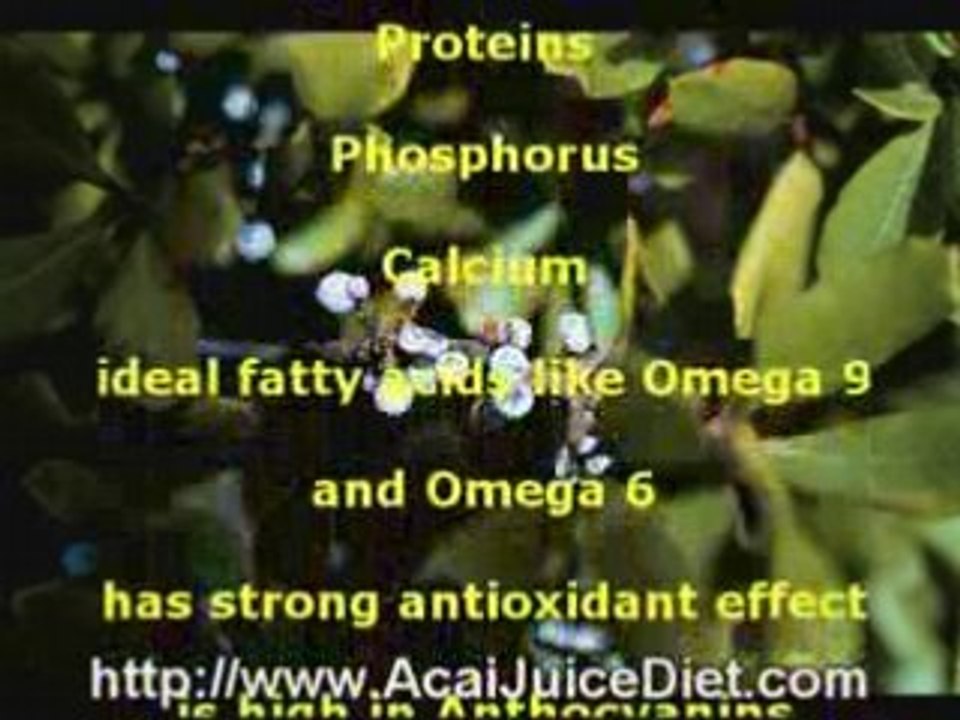 acai juice recipes for weight loss