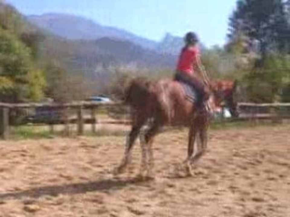 Galop 5