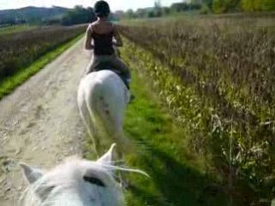 Ptit trot ^^