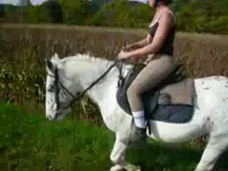 Ptit trot ²