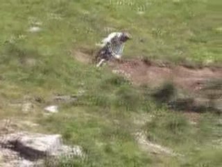 clement vtt freeride