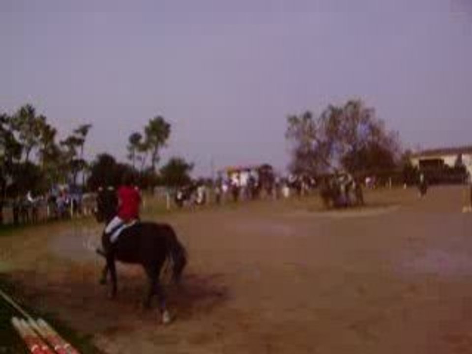 Concour Bassens 12/10/08