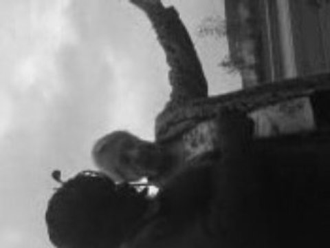 Ali-Teck en mode delire