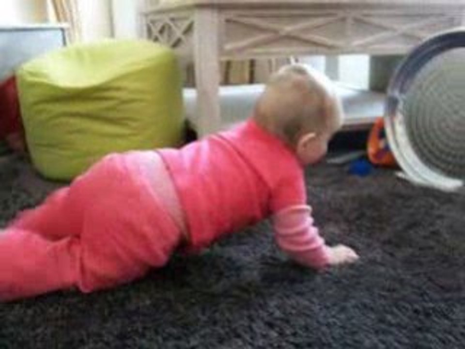 Notre puce à 4 pattes