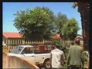 Régis Tire Un Palmier Avec Sa Voiture