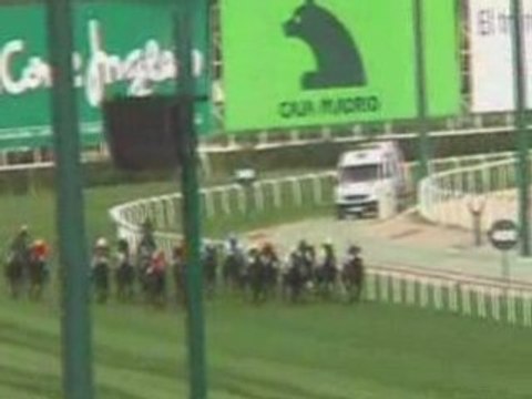 2008 (394) Premio IG Markets (H) (MAR DEL NORTE)