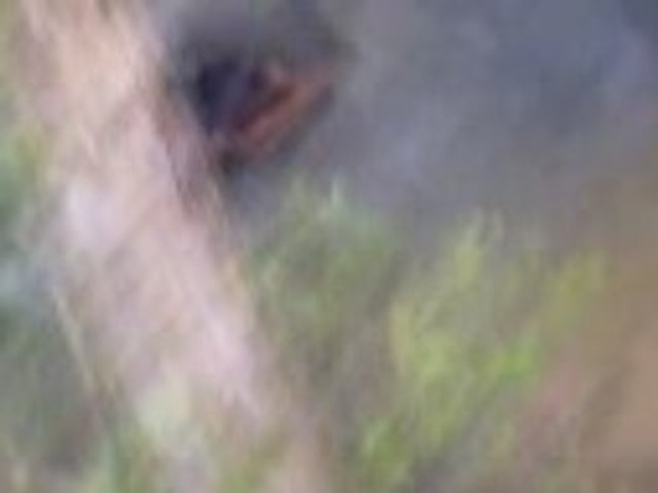 journé entre pote 3